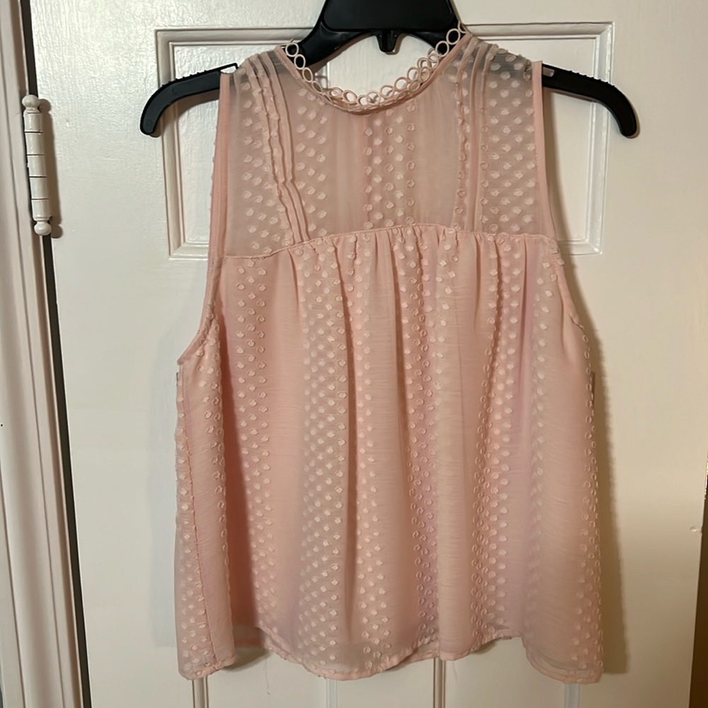 Francesca’s light pink sheer top. Size small.